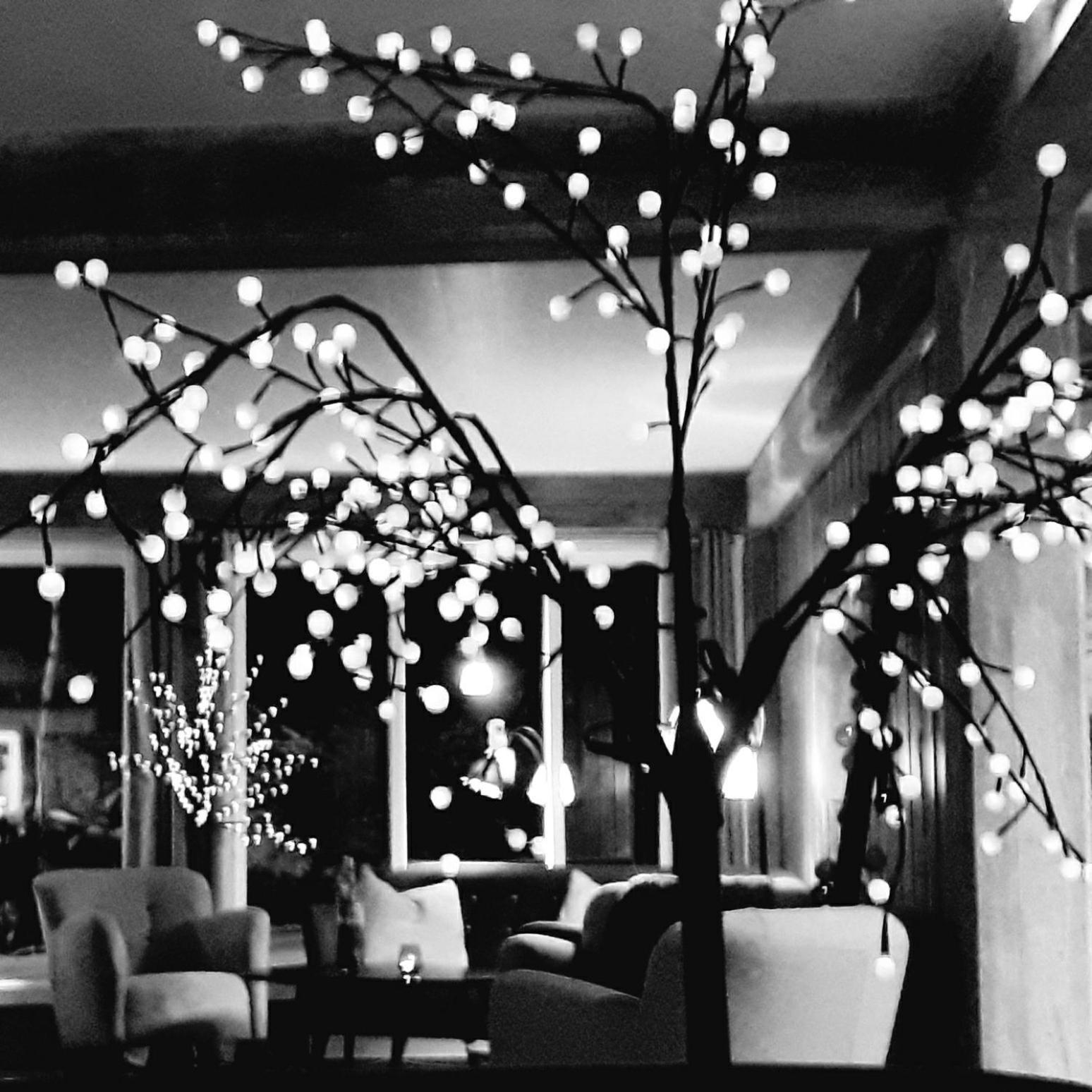 Haukeli Hotel מראה חיצוני תמונה
